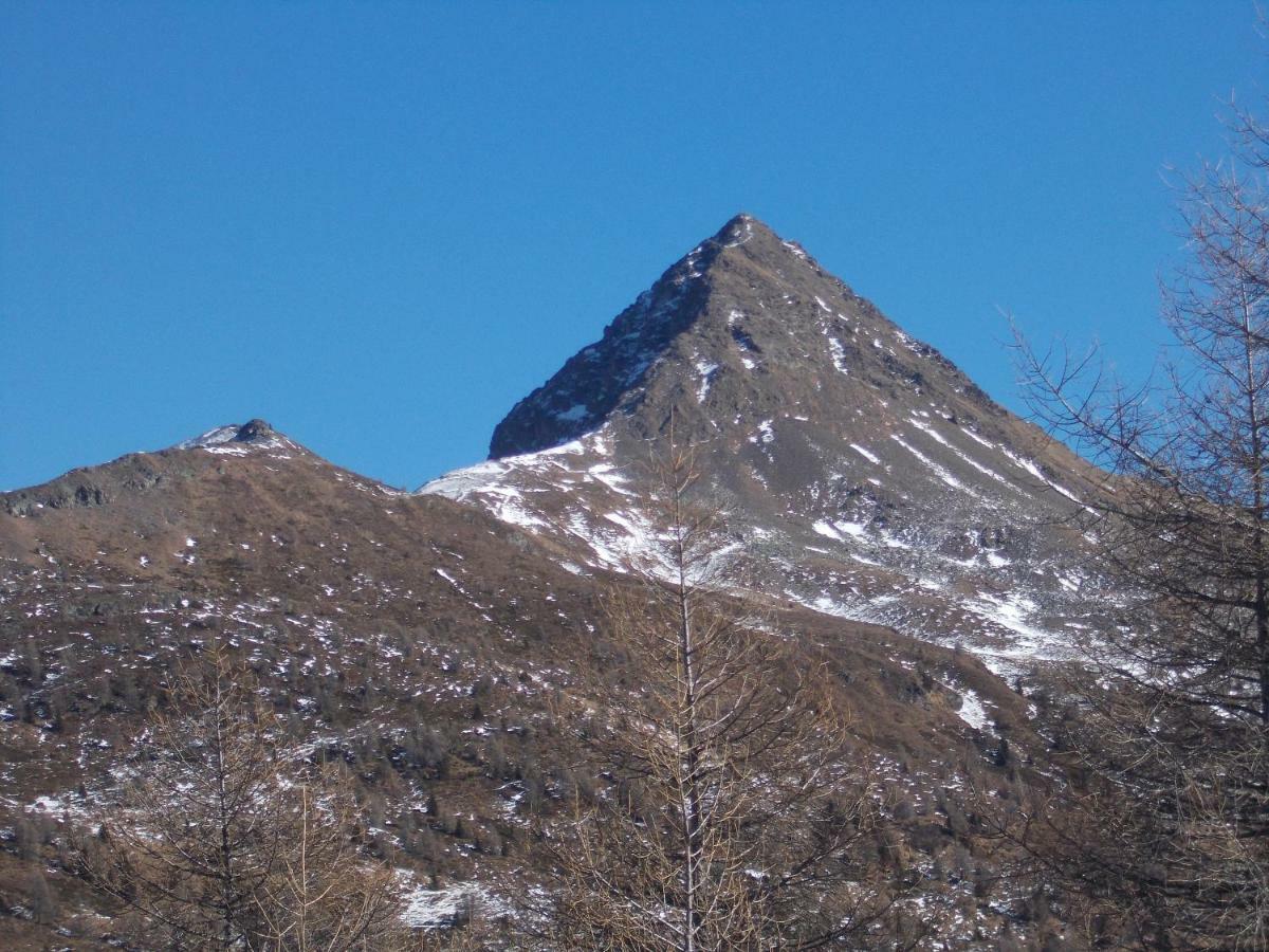 Balcone Sulle Dolomiti Leilighet Comèlico Superiore Eksteriør bilde