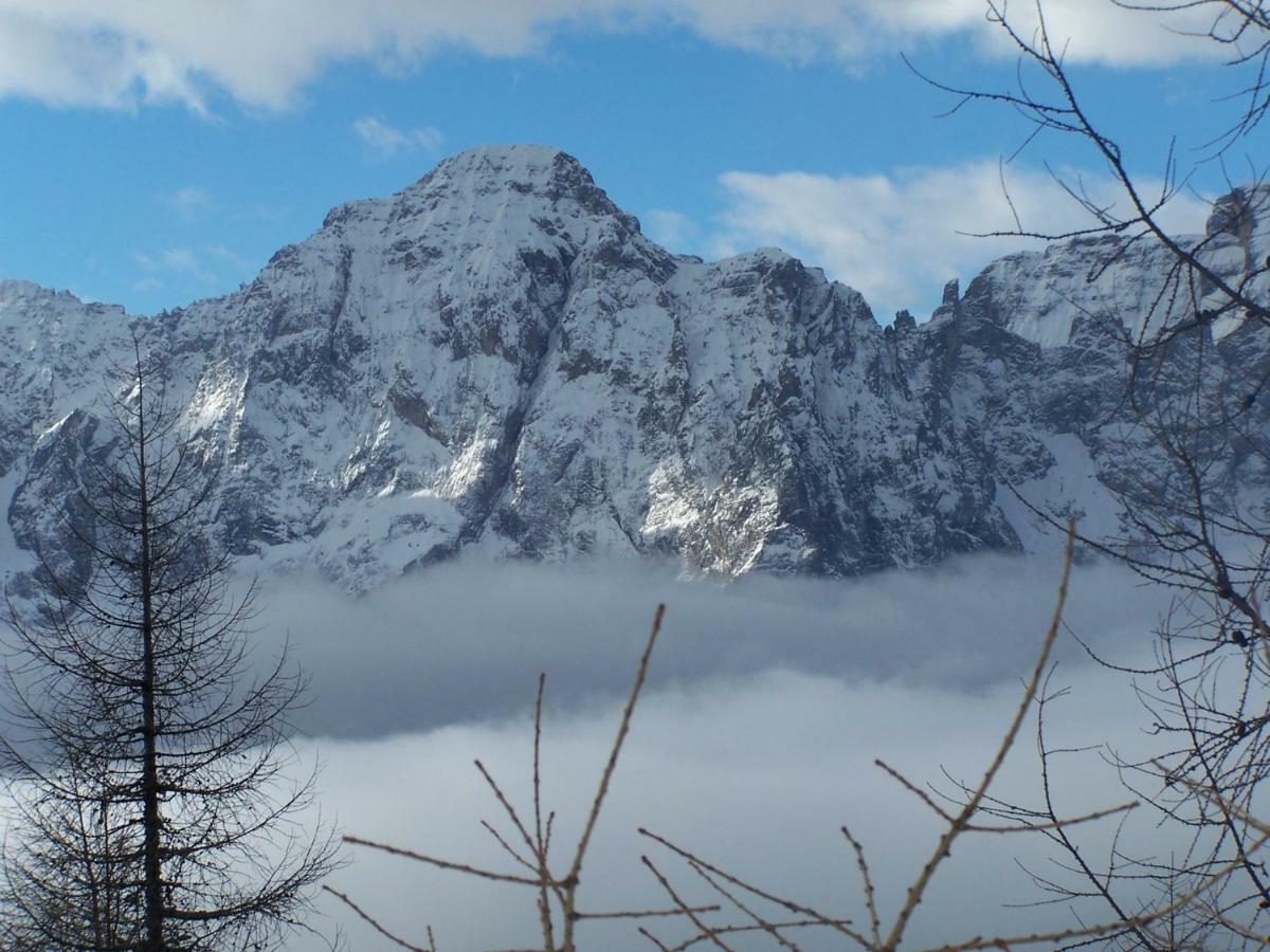 Balcone Sulle Dolomiti Leilighet Comèlico Superiore Eksteriør bilde