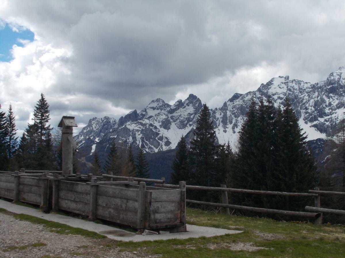 Balcone Sulle Dolomiti Leilighet Comèlico Superiore Eksteriør bilde