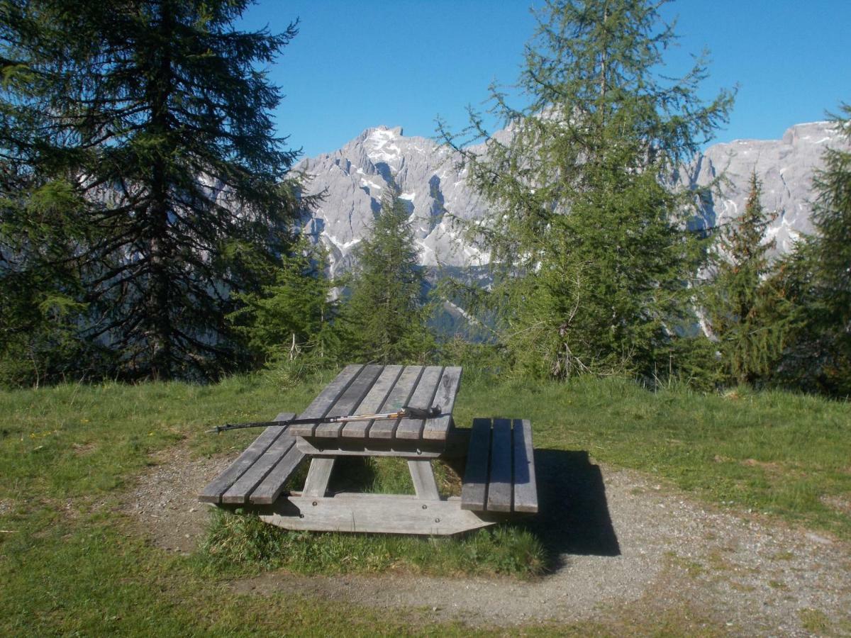 Balcone Sulle Dolomiti Leilighet Comèlico Superiore Eksteriør bilde