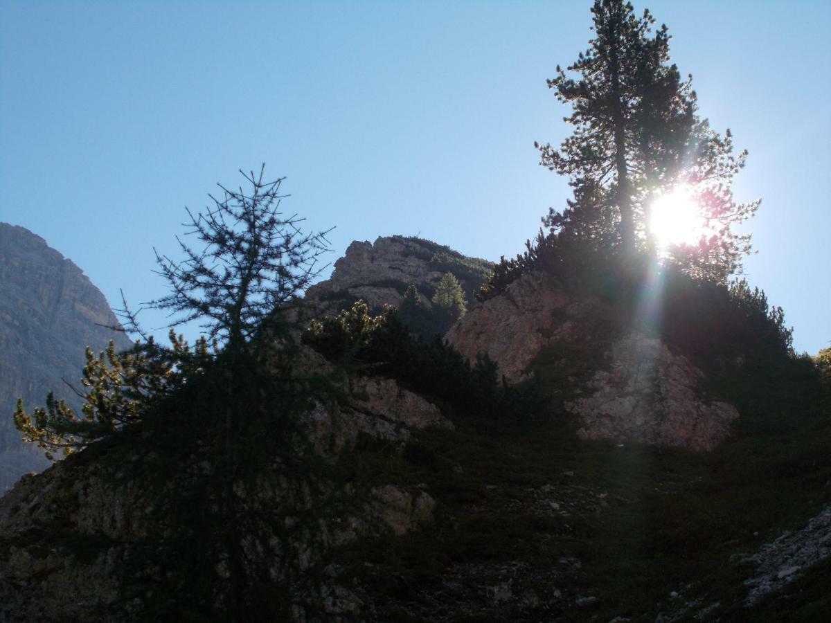 Balcone Sulle Dolomiti Leilighet Comèlico Superiore Eksteriør bilde