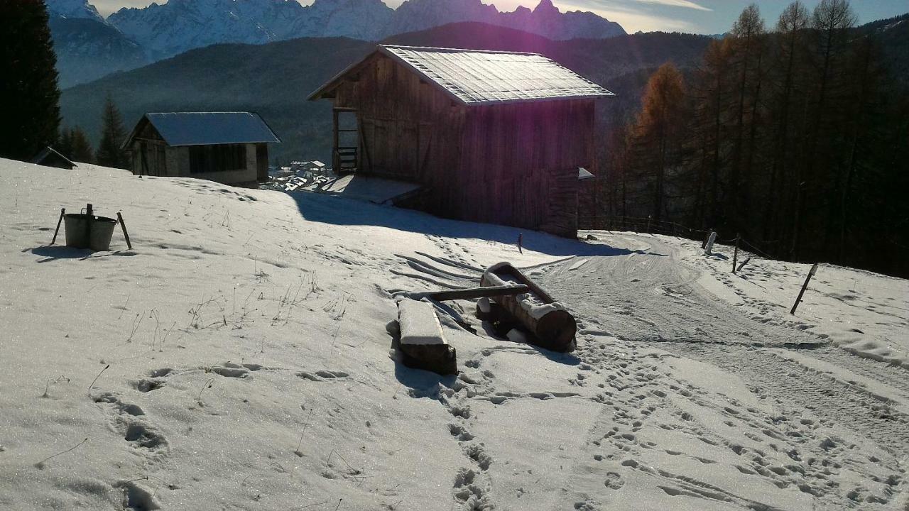 Balcone Sulle Dolomiti Leilighet Comèlico Superiore Eksteriør bilde